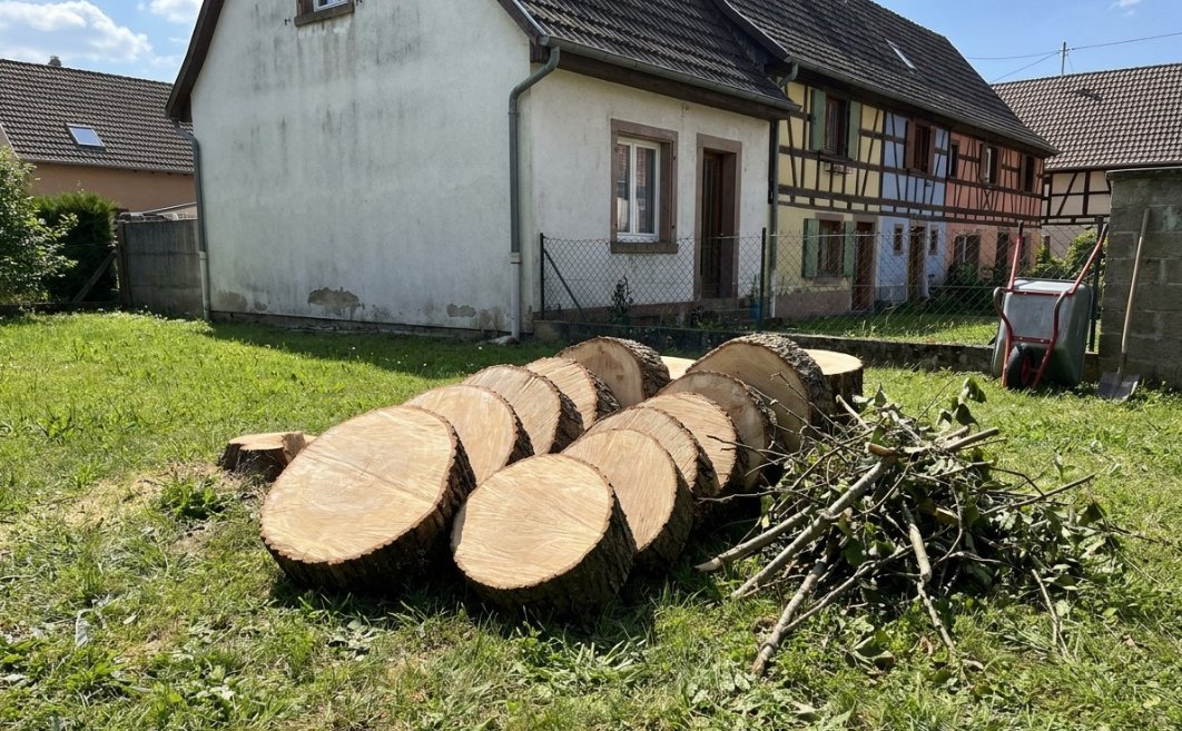 Arbre abattu et débité en rondins dans un jardin