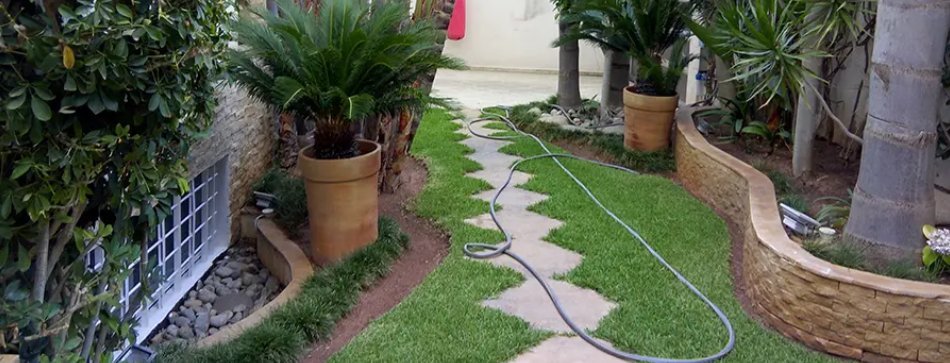 Jardin entretenu avec pelouse et massifs